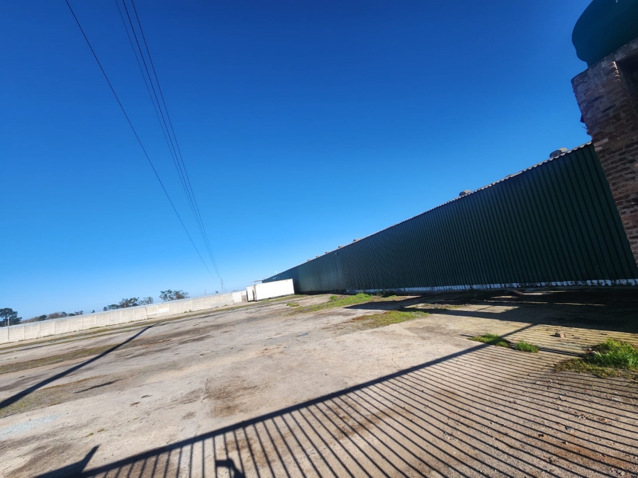 To Let Commercial Property for Rent in Joostenberg Western Cape